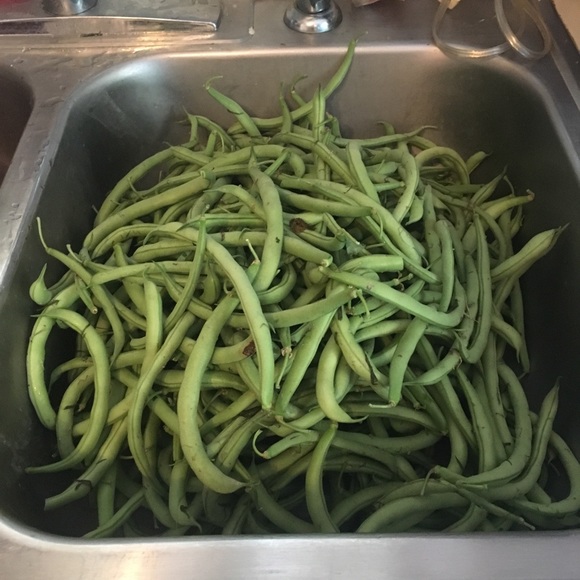 Meet your Posher, Janet - Picture 7 of 8